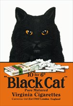 Black Cat Pure Matured Virginia Cigarettes