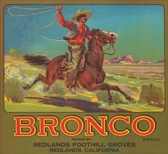 Bronco Brand Crate Label 1930