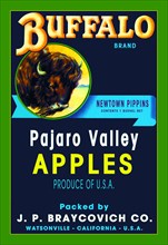 Buffalo Brand Apples
