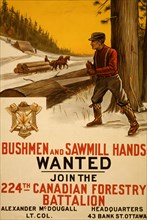 Bushmen and sawmill hands wanted. Join the 224th Canadian Forestry Battalion  1915