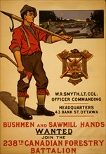 Bushmen and sawmill hands wanted. Join the 238th Canadian Forestry Battalion  1915