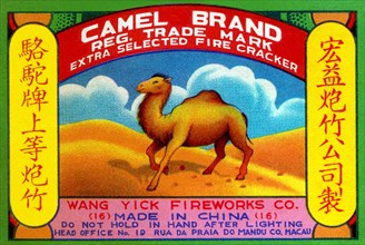 Camel Brand Extra Selected Firecracker