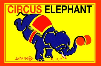 Circus Elephant 1950