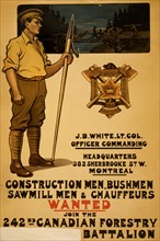 Construction men, bushmen, sawmill men & chauffeurs wanted. Join the 242nd Canadian Forestry  1915