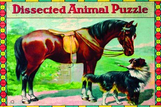 Dissected Animal Puzzle