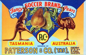 Fancy Soccer Brand Pears