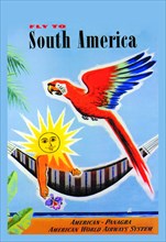 Fly to South America 0