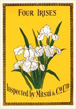 Four Irises 1891