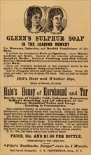 Glenn's Sulphur Soap is the Leading remedy 1890