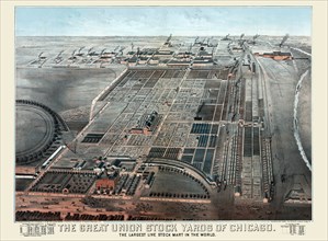 Great Union Stockyards of Chicago 1900