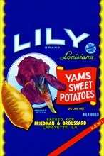 Lily Brand Yams Sweet Potatoes