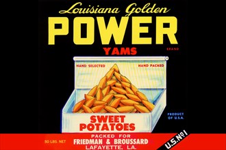 Louisiana Golden Power Yams