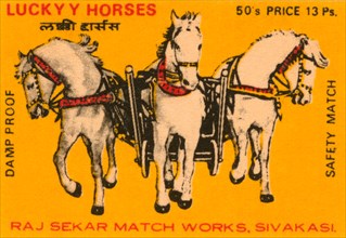 Lucky Horses