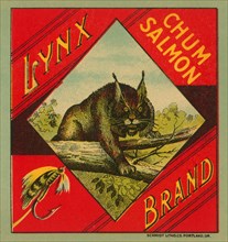 Lynx Brand Chum Salmon 1890