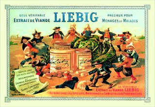 Meat Extract Advertisement - "Liebig" 1889