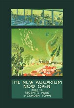 New Aquarium Now Open 1924