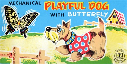 Playful Dog with Butterfly 1950