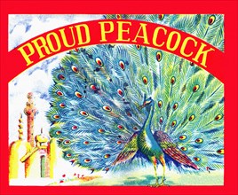 Proud Peacock 1930