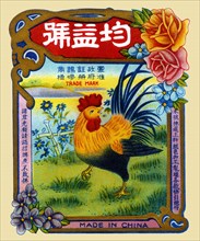 Rooster by the River Firecrackers