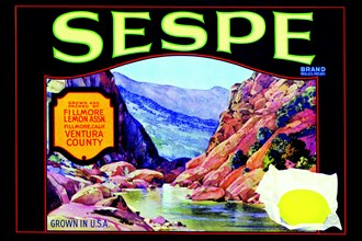 Sespe Brand Lemons
