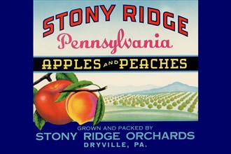 Stony Ridge Pennsylvania Apples and Peaches