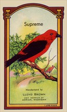 Supreme Broom Label