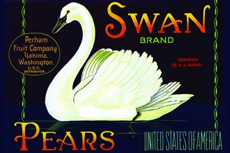 Swan Brand Pears