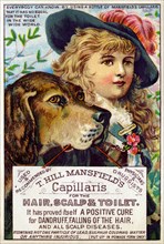 T. Hill Mansfield's Capillaris 1890