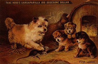 Take Hood's Sarsaparilla 1890