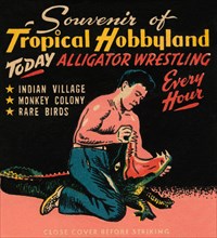 Tropical Hobbyland - Alligator Wrestling 1930