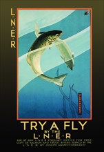 Try a Fly 1925
