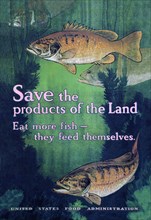United States Food Administration Advisory: Save the Products of the Land 1917