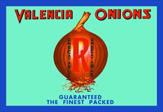 Valencia Onions