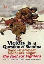 Victory is a Question of Stamina