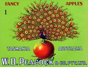 W.D. Peacock Fancy Apples