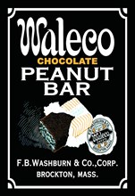 Waleco Chocolate Peanut Bar #2