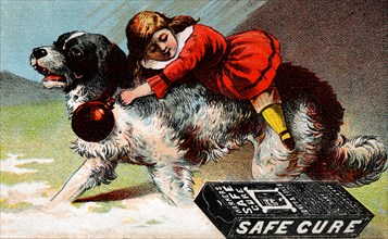Warner's Safe Cure 1890