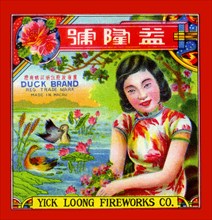 Yick Loong Fireworks Co. Duck Brand Firecracker