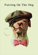 Dog in Hat and Bow Tie Smoking a Cigar