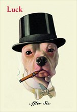 Dog in Top Hat Smoking a Cigar