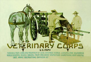 Veterinary Corps. U.S. Army