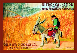 Nitro-Cal-Amon 1925