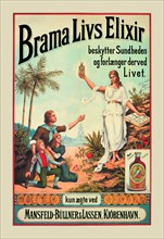 Brama Livs Elixir 1893