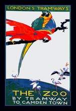 London Zoo: The Macaw 1927