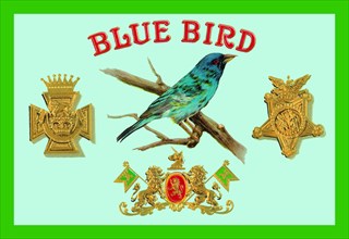 Blue Bird Cigars