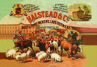 Halstead and Company Beef and Pork Packers