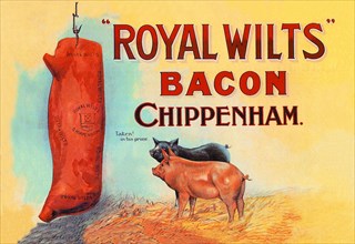 Royal Wilts Bacon 1900