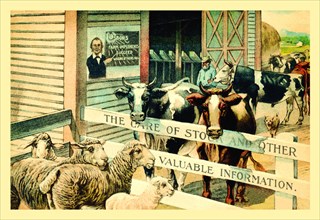 Care of Stock and Other Valuable Information 1899