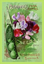 Burpee's Farm Annual: The Best Seeds That Grow 1895