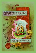 Ellwanger and Barry's General Catalogue
